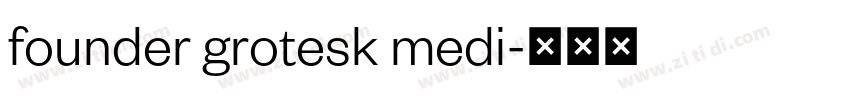 founder grotesk medi字体转换